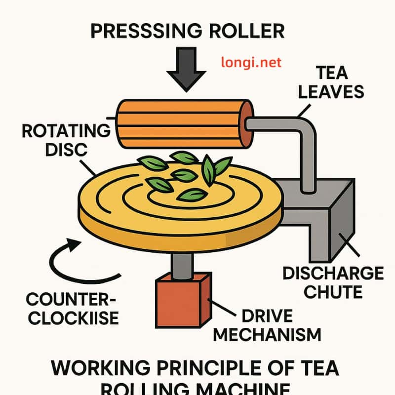 茶葉揉捻機原理結(jié)構(gòu)圖.jpg